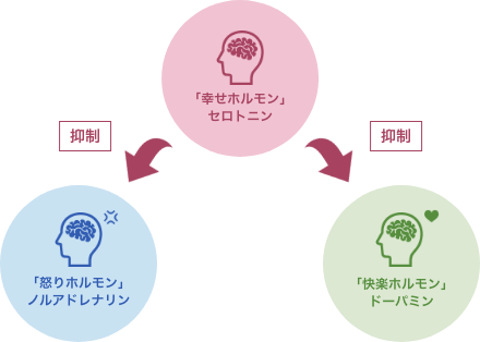 介護・福祉アロマ - 大阪で病院・介護施設への臨床アロマの導入